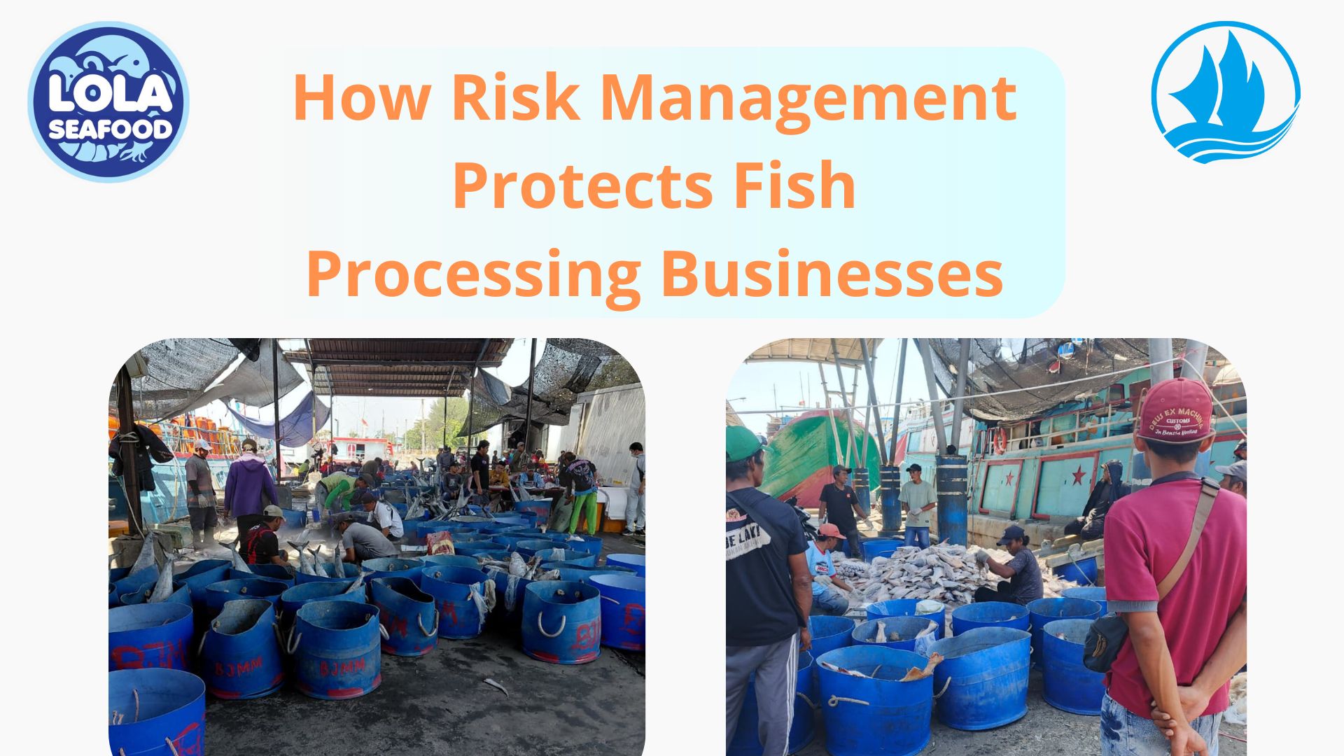  How Risk Management Protects Fish Processing Businesses